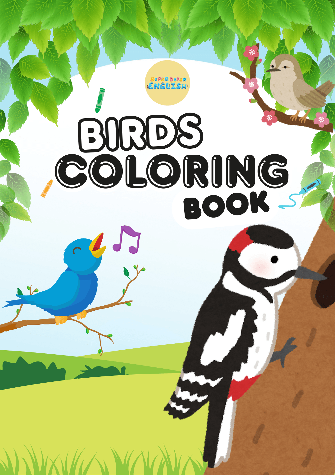 Birds Coloring Book